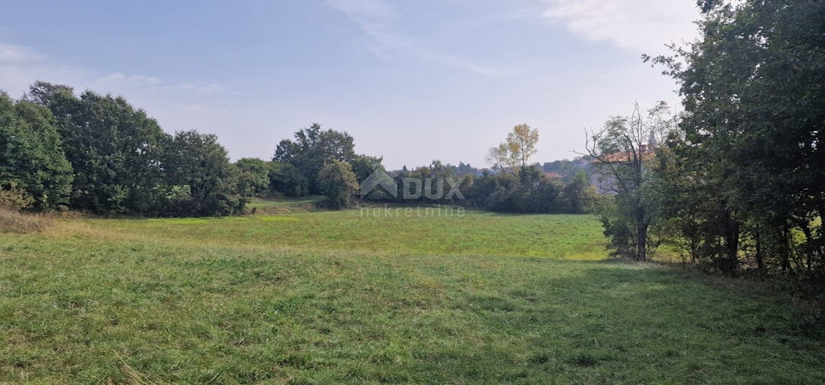 Terreno In vendita - ISTARSKA ŽMINJ