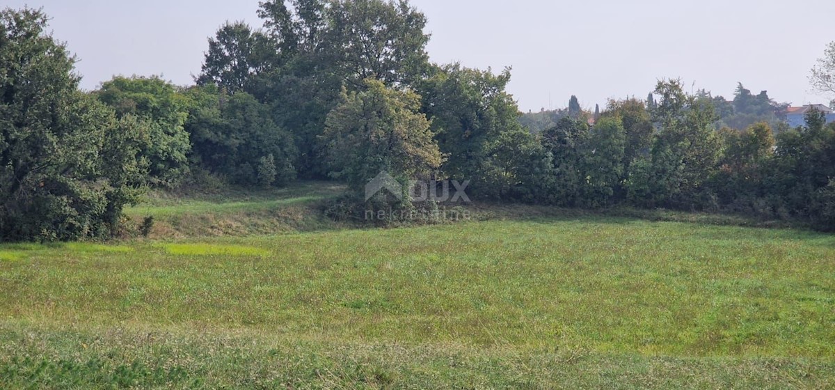 Terreno In vendita - ISTARSKA ŽMINJ
