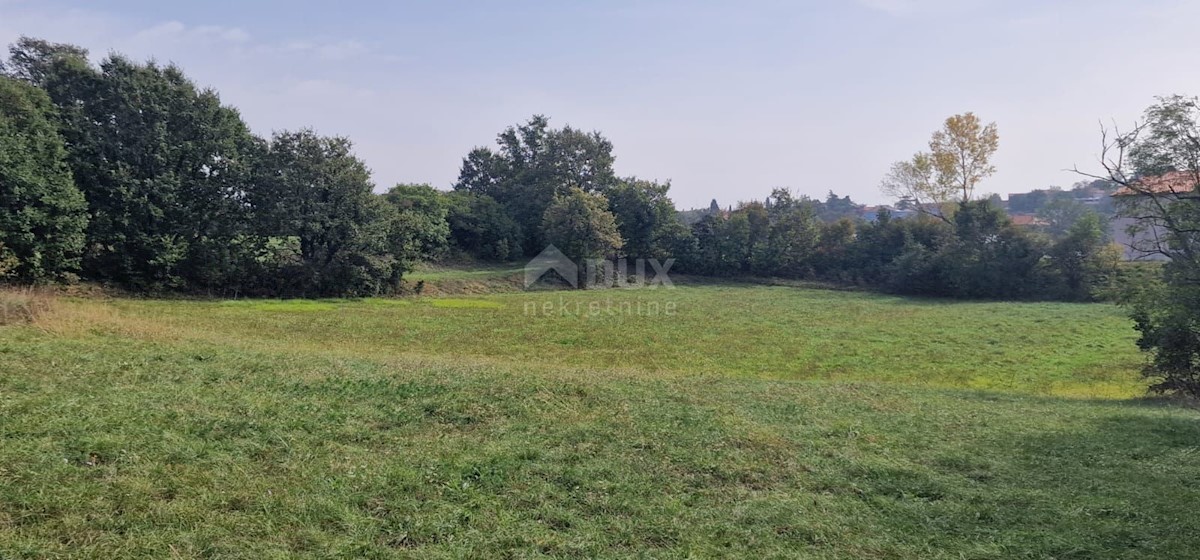 Terreno In vendita - ISTARSKA ŽMINJ