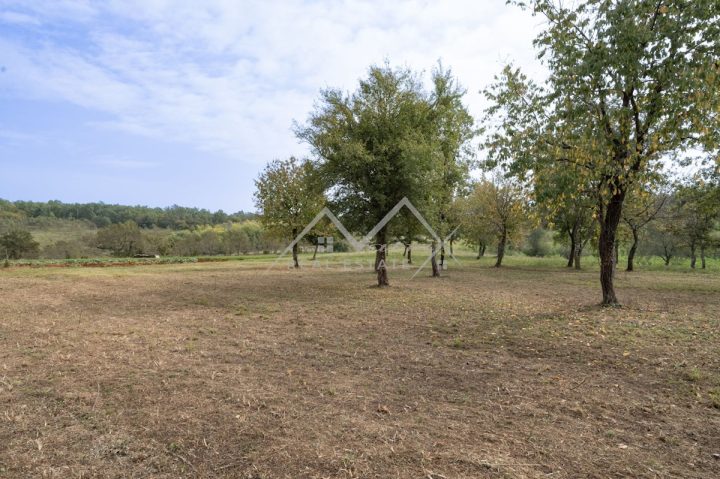 Parcela na predaj 842 m² – Poreč