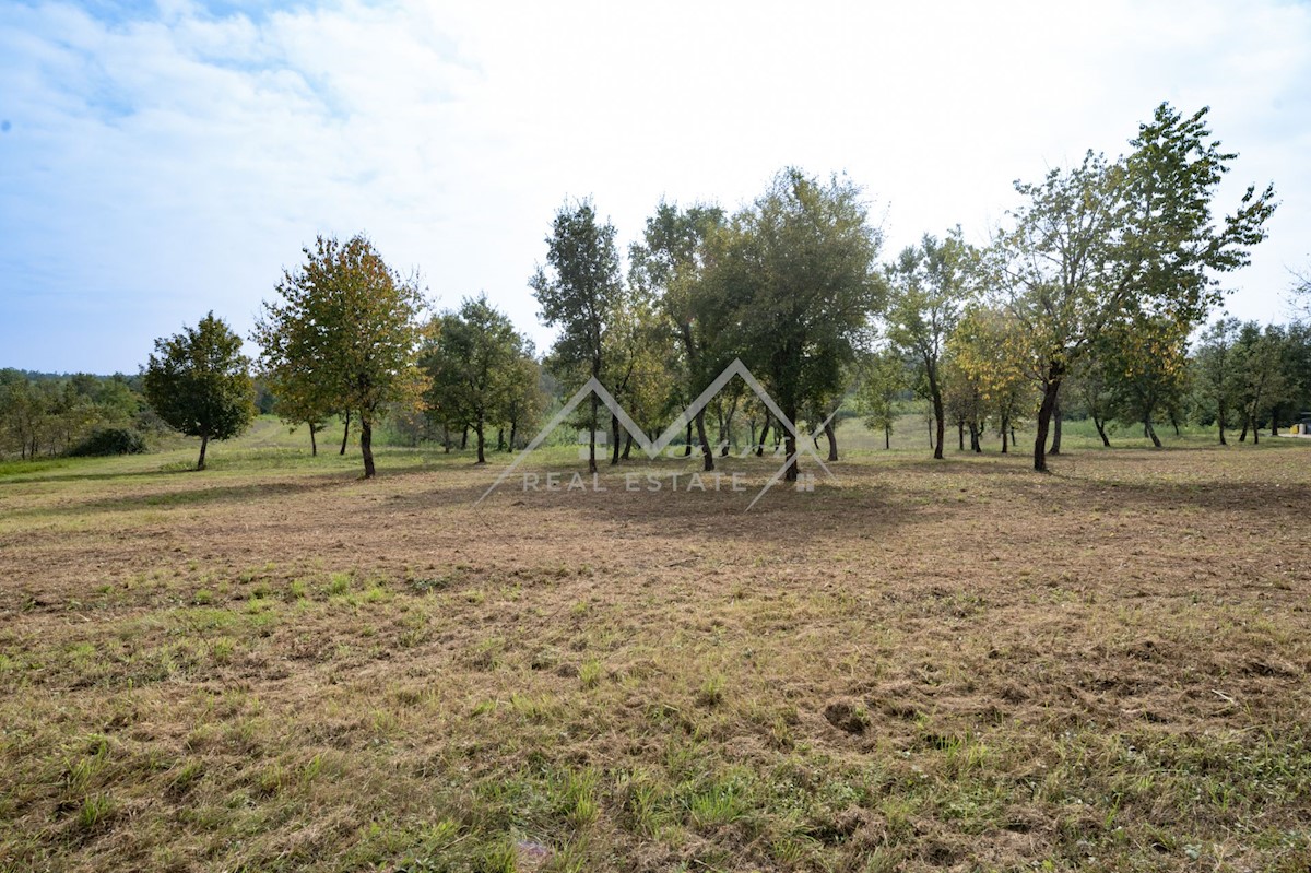 Parcela Naprodaj - ISTARSKA Poreč