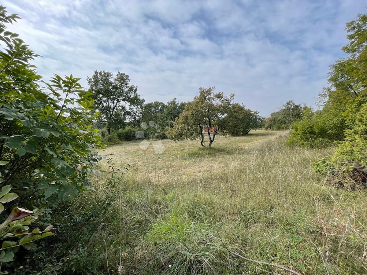 Zemljište Na prodaju - ISTARSKA BARBAN