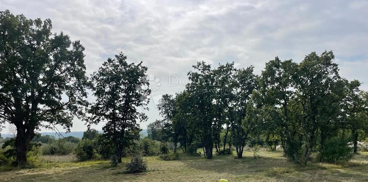 Zemljište Na prodaju - ISTARSKA BARBAN