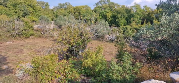 Terrain À vendre - Primorsko-goranska Krk - foto 2/3