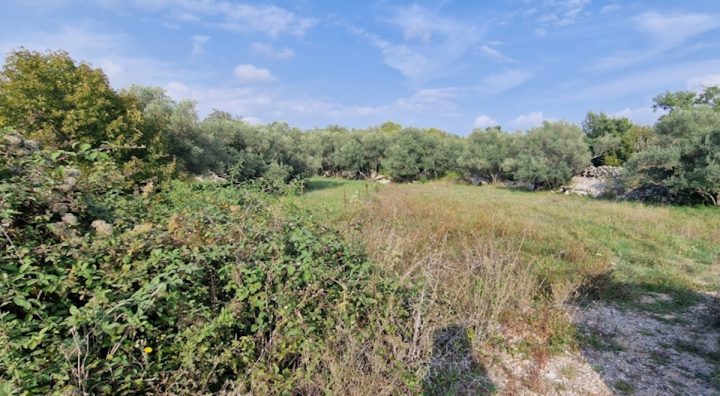 Zemljište na prodaju 1200 m² – Kornić