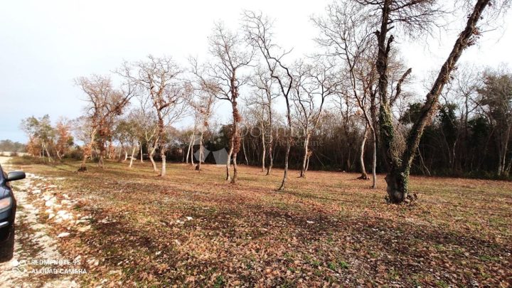 Land for sale 1005 m² – Vodnjan
