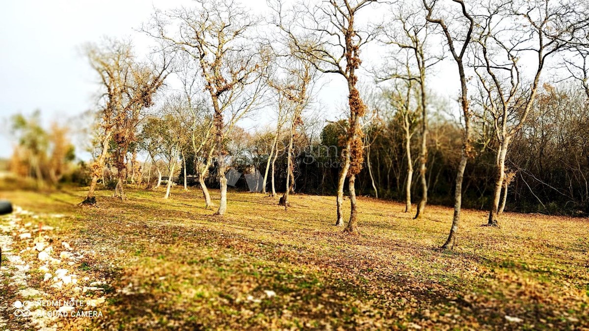 Pozemok Na predaj - ISTARSKA VODNJAN