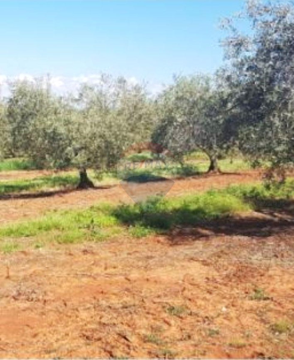 Terreno In vendita - ISTARSKA POREČ
