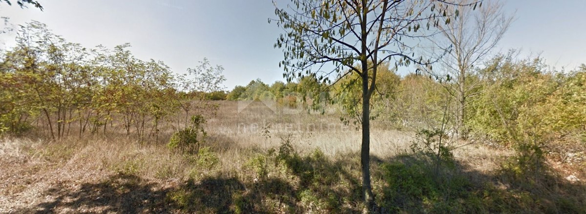 Terreno In vendita FILIPANA