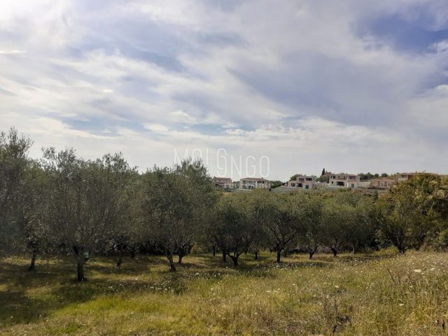 Grundstück Zu verkaufen - Istarska Poreč - foto 2/3