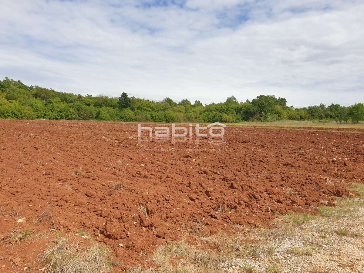 Terreno In vendita - ISTARSKA POREČ