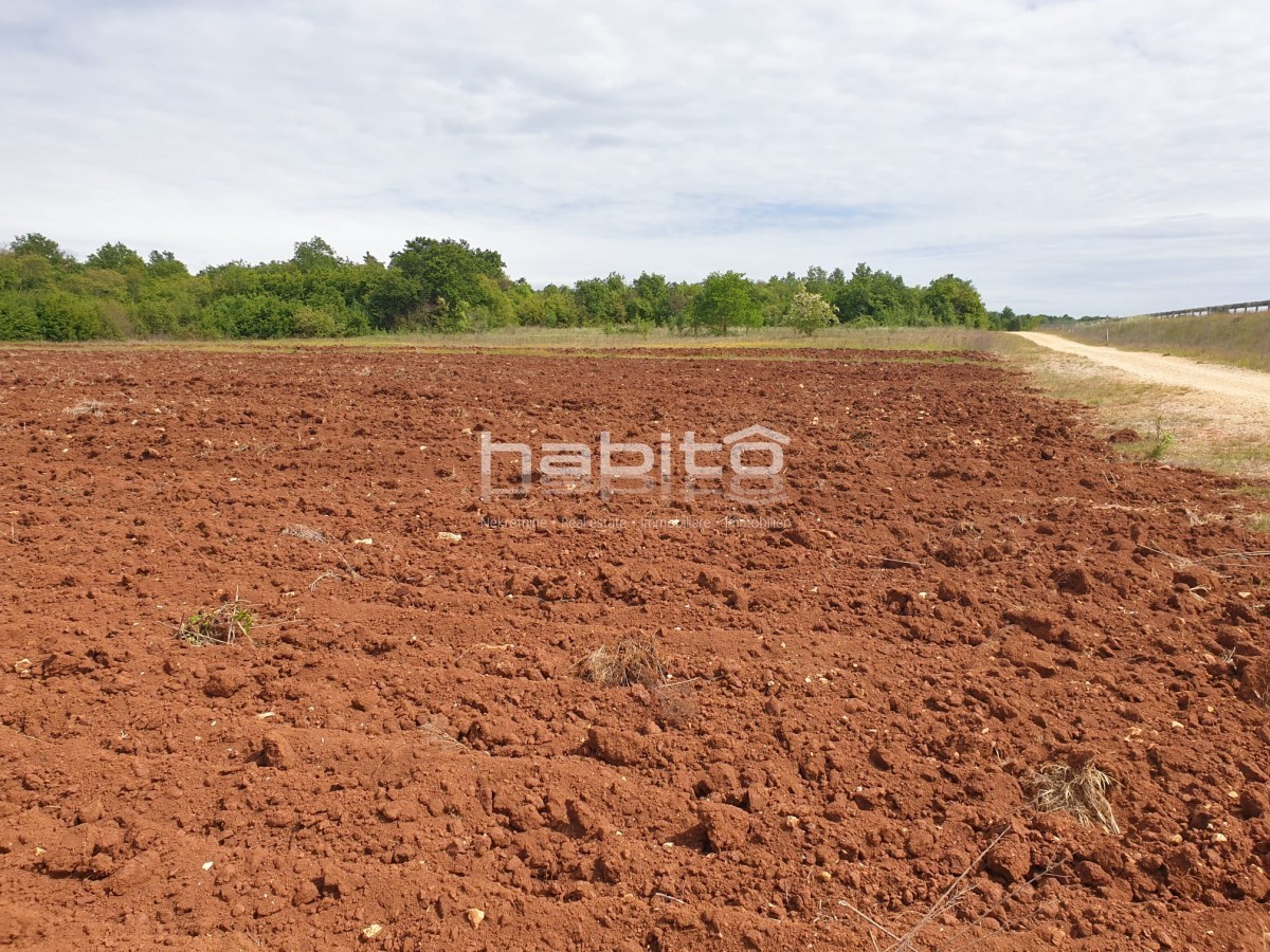 Terreno In vendita - ISTARSKA POREČ