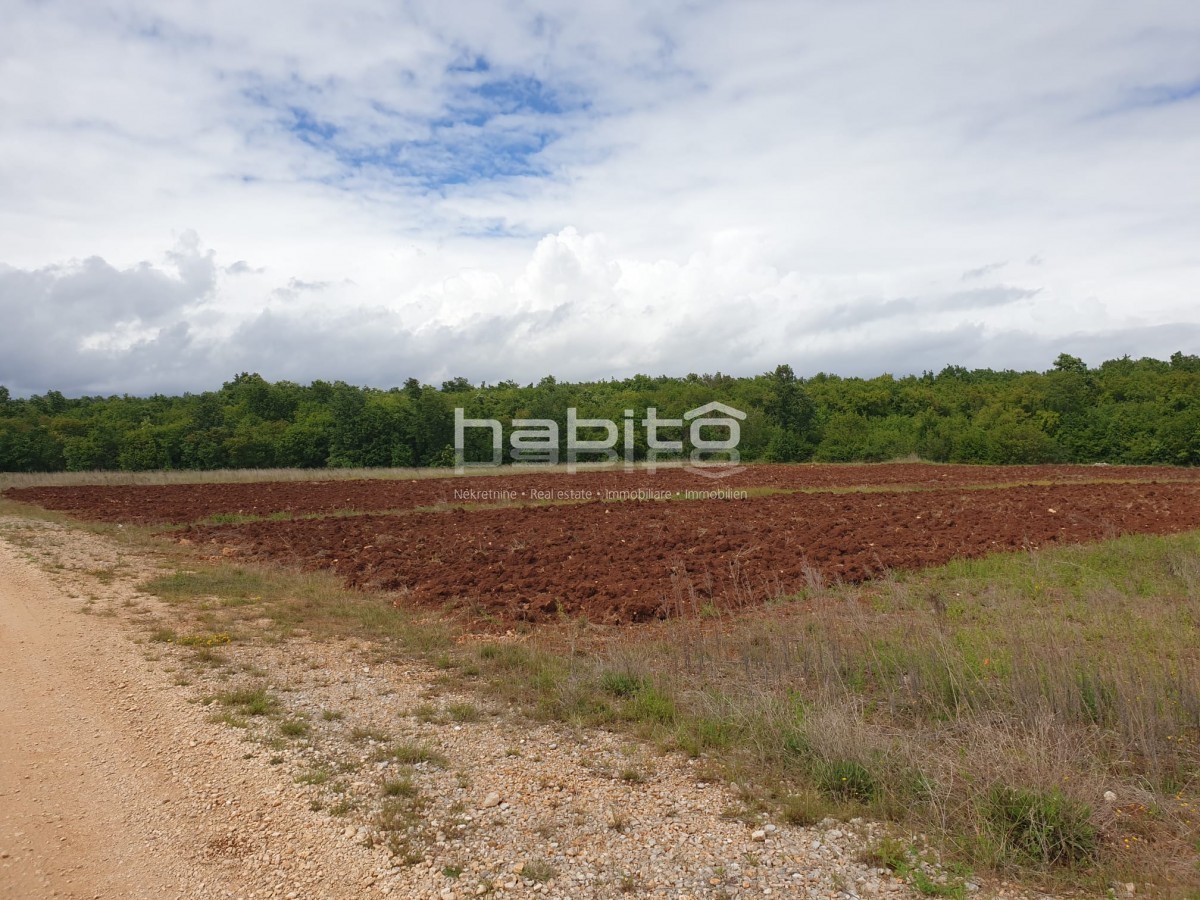 Terreno In vendita - ISTARSKA POREČ