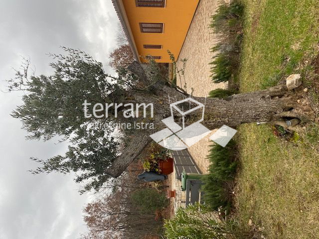 Haus Zu verkaufen - ISTARSKA SVETVINČENAT