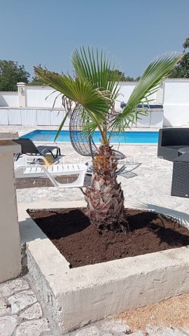 Casa in vendita 125 m² – Filipana