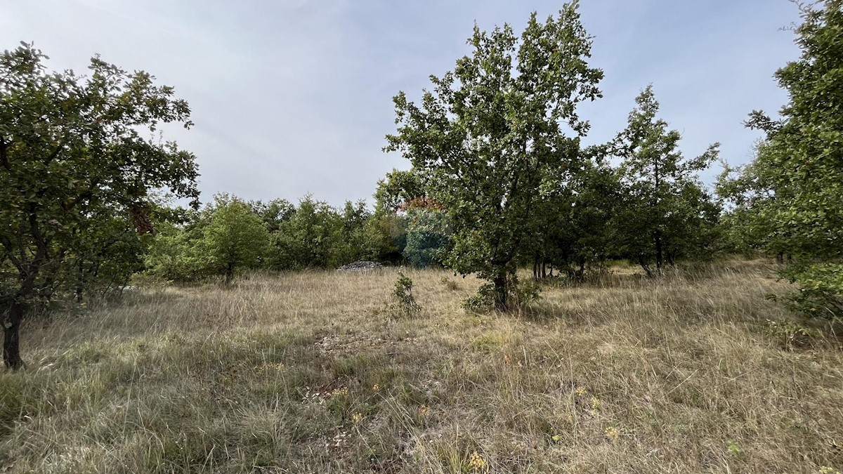 Terreno In vendita - ISTARSKA POREČ