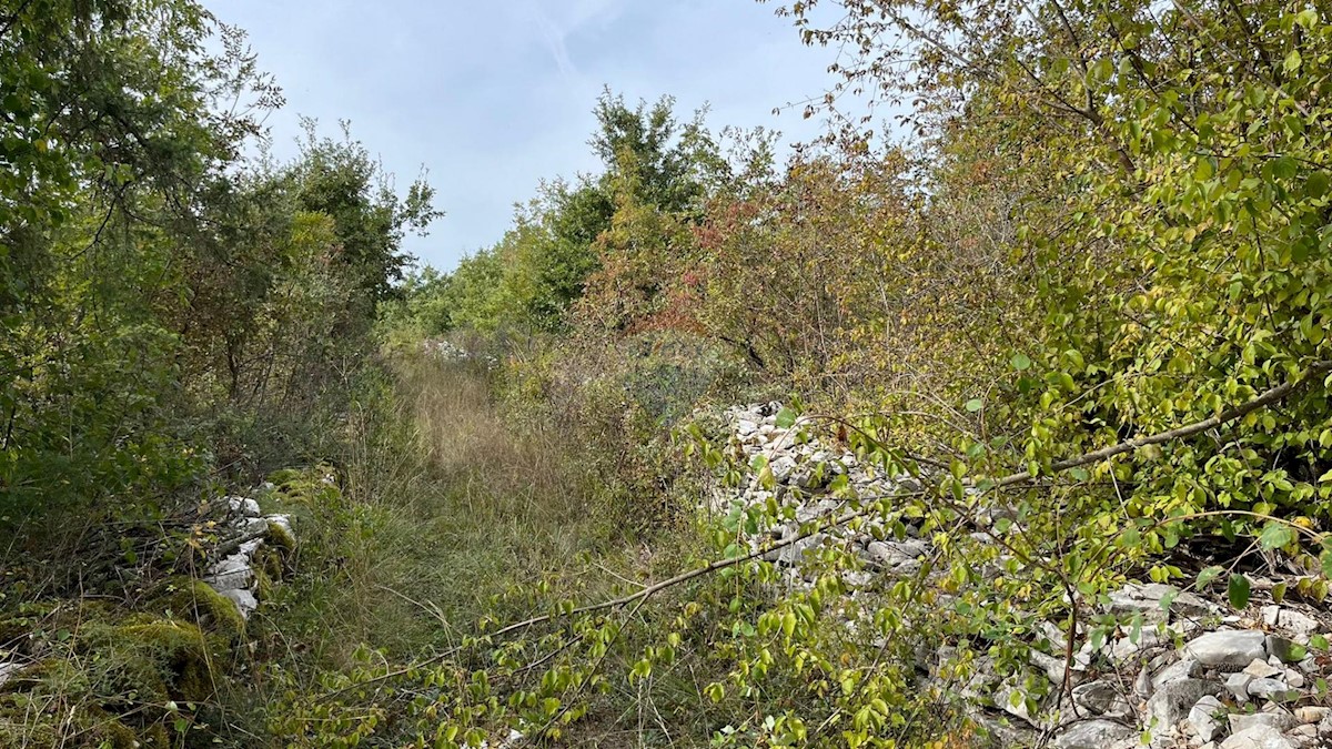 Terreno In vendita - ISTARSKA POREČ