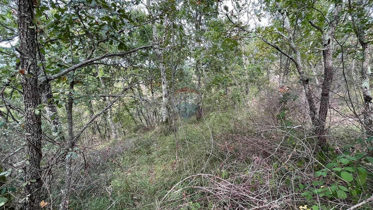 Terreno In vendita - ISTARSKA POREČ