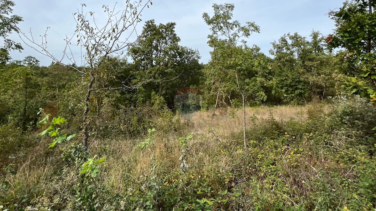 Terreno In vendita - ISTARSKA POREČ