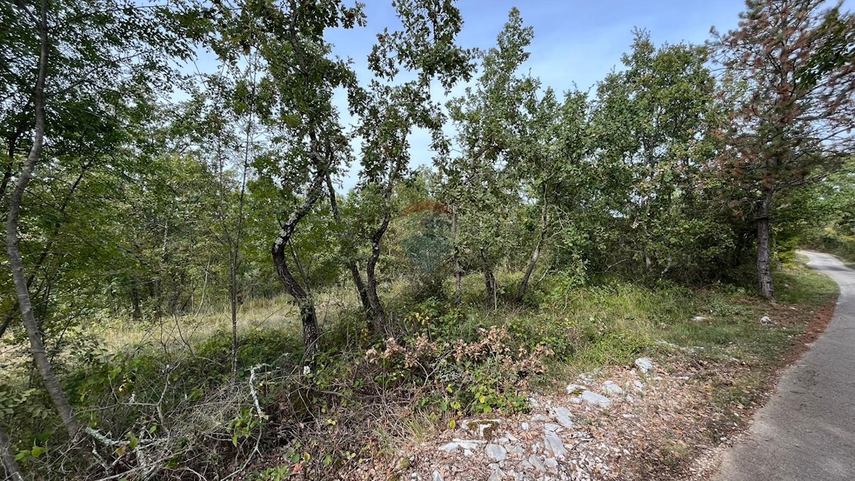 Terreno In vendita - ISTARSKA POREČ