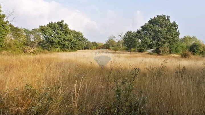Terreno in vendita 12005 m² – Baderna