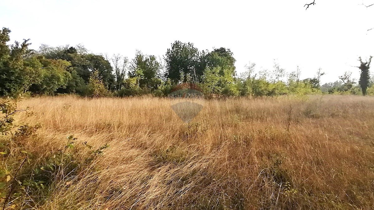 Terreno In vendita - ISTARSKA POREČ