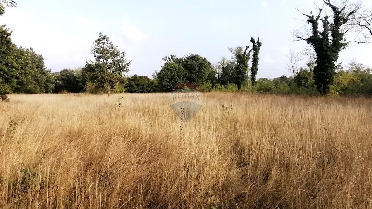 Terreno In vendita - ISTARSKA POREČ