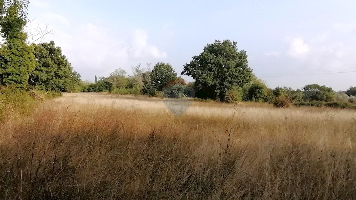 Terreno In vendita - ISTARSKA POREČ