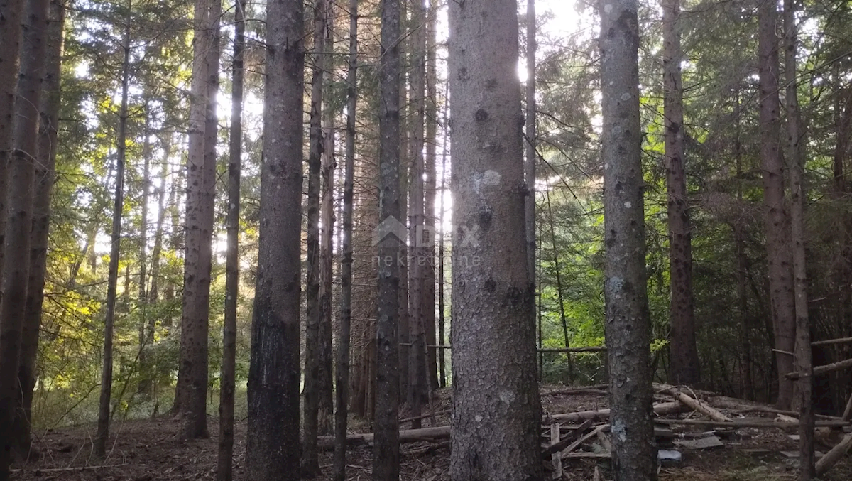 Zemljište Na prodaju - Primorsko-goranska Klana - foto 4/5