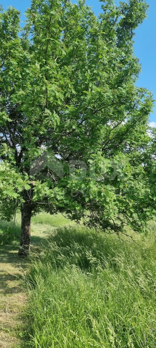 Zemljište Na prodaju - PRIMORSKO-GORANSKA NOVI VINODOLSKI