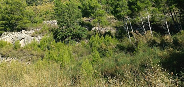 Hiša na predaj 859 m² – Lokva Rogoznica