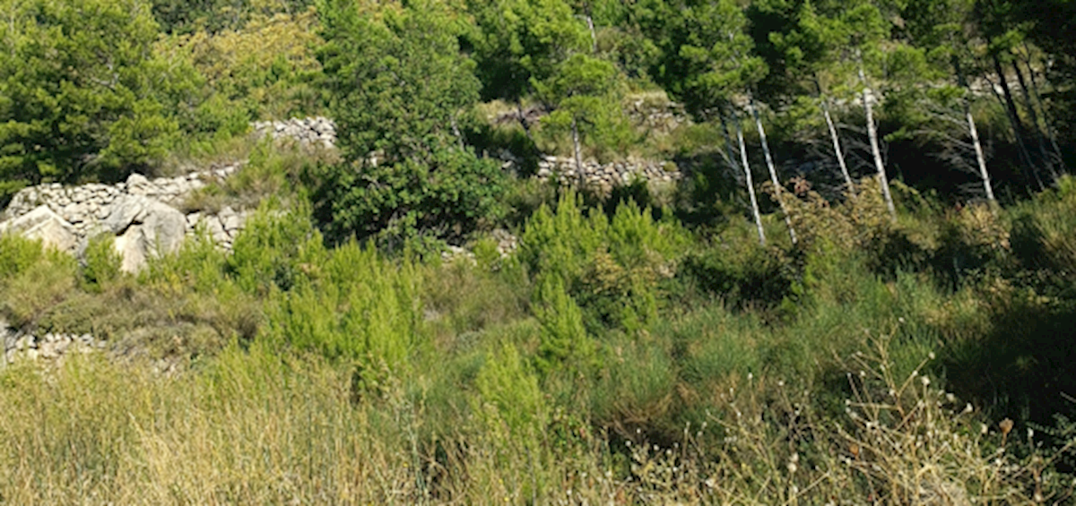 Kuća Na prodaju - SPLITSKO-DALMATINSKA OMIŠ