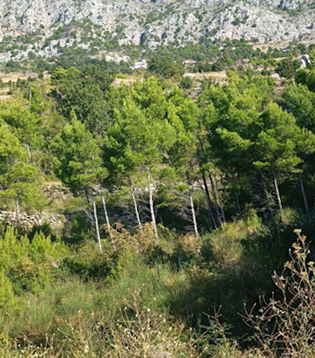 Kuća Na prodaju - SPLITSKO-DALMATINSKA OMIŠ