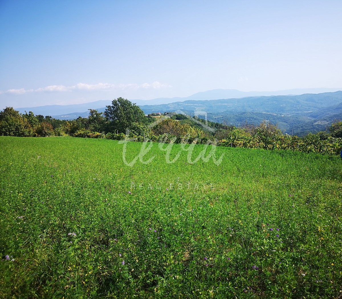 Land For sale - ISTARSKA PAZIN