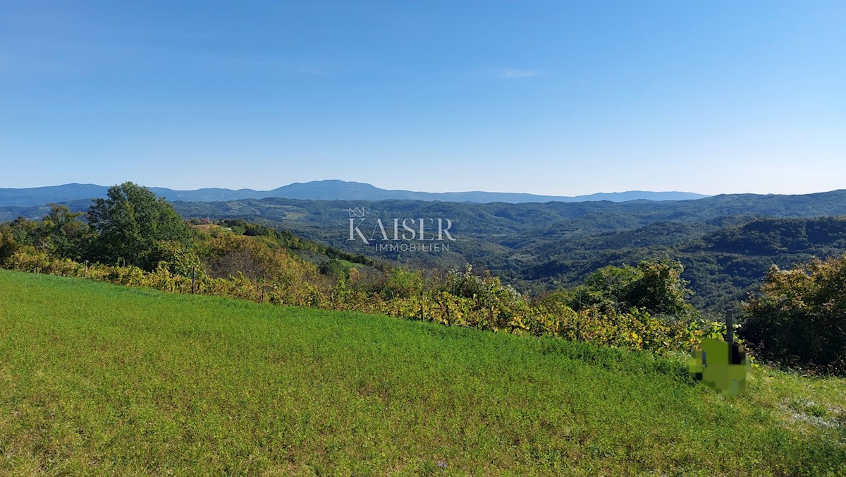 Terrain À vendre - Istarska Motovun - foto 1/5