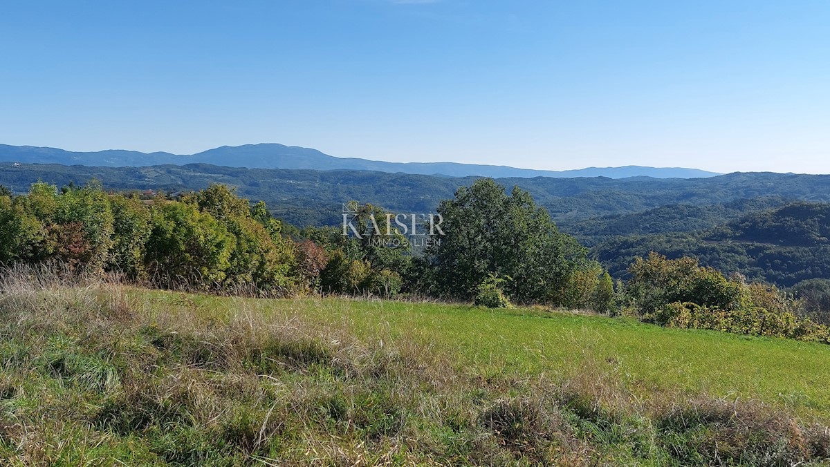 Terrain À vendre - Istarska Motovun - foto 2/5