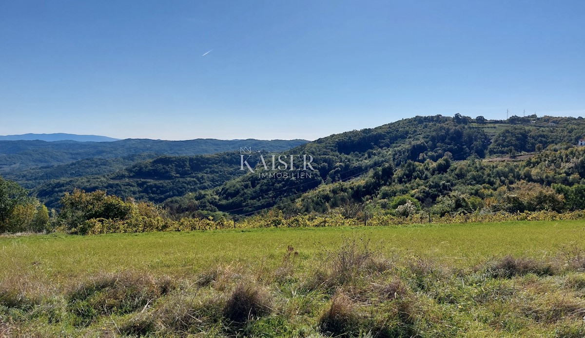 Terrain À vendre - Istarska Motovun - foto 3/5