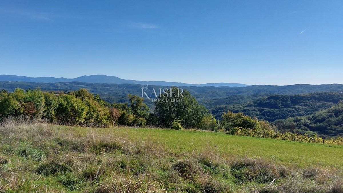 Terrain À vendre - Istarska Motovun - foto 4/5