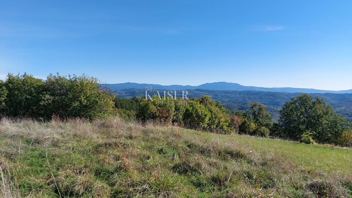 Terrain À vendre - Istarska Motovun - foto 5/5