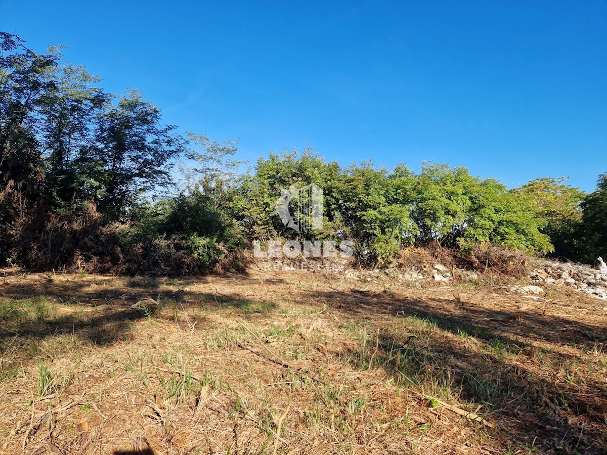 Land For sale - ISTARSKA UMAG