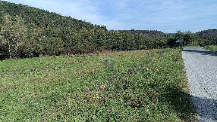 Terrain à vendre 2633 m² – Gomirje