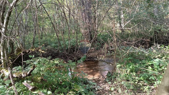 Pozemok Na predaj - Primorsko-goranska Vrbovsko - foto 3/3