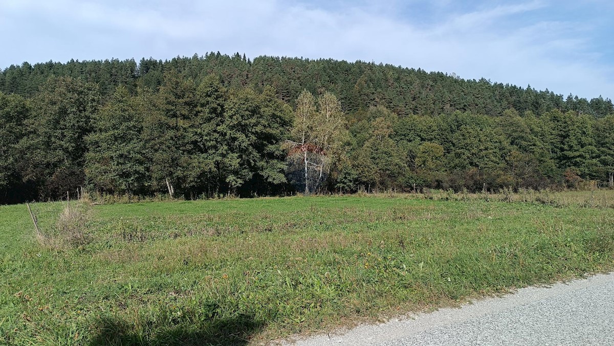 Land For sale - PRIMORSKO-GORANSKA VRBOVSKO