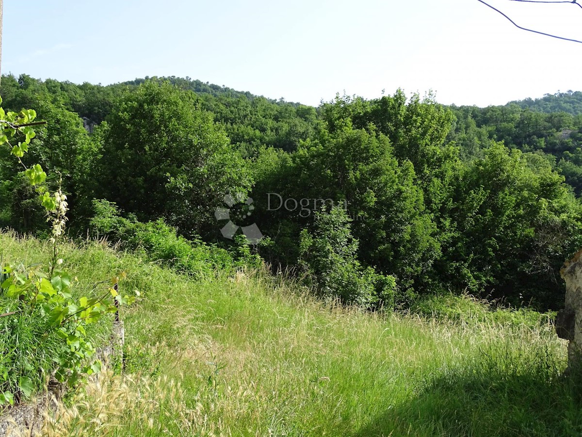 Land For sale - ISTARSKA BUZET