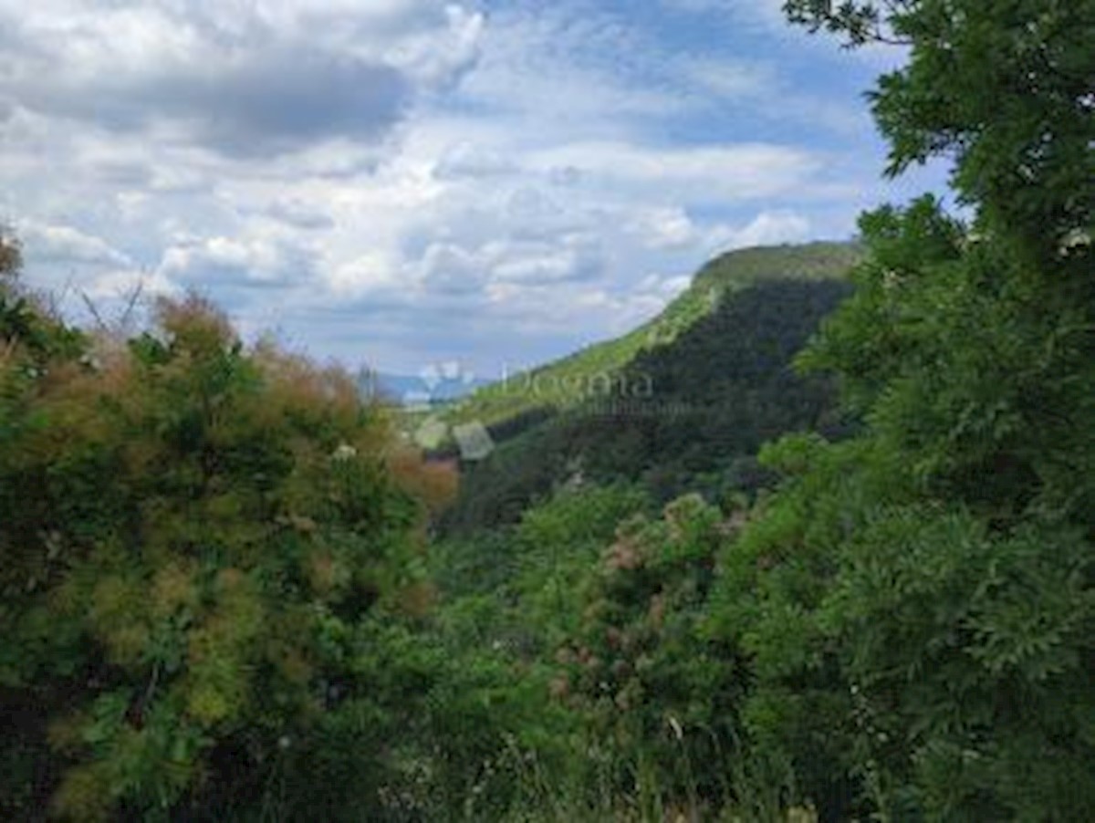 Terreno In vendita - ISTARSKA BUZET