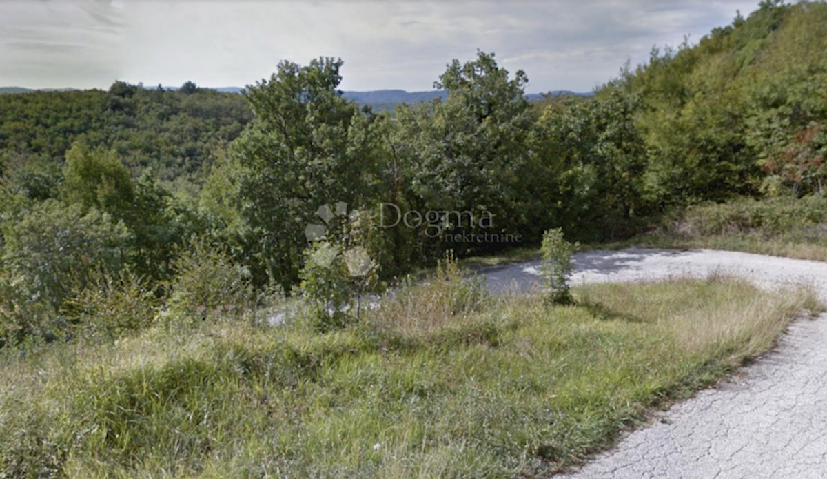 Land For sale - ISTARSKA BUZET