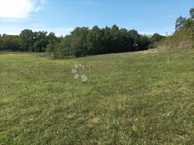 Pozemek na prodej 15136 m² – Žminj