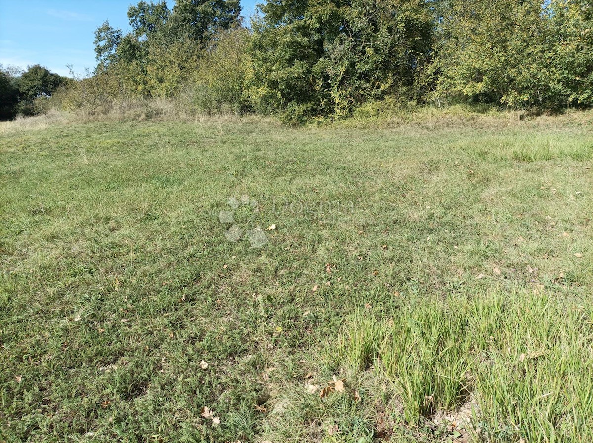 Parcela Naprodaj - ISTARSKA Žminj