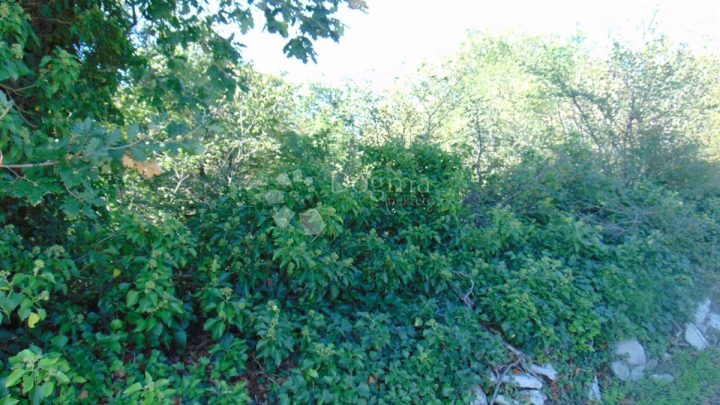 Działka na sprzedaż 6359 m² – Sveti Lovreč Pazenatički