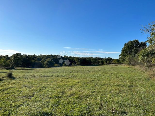 Terreno in vendita 7664 m² – Krnica